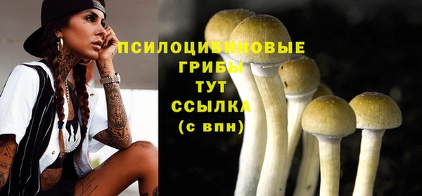 меф Богданович