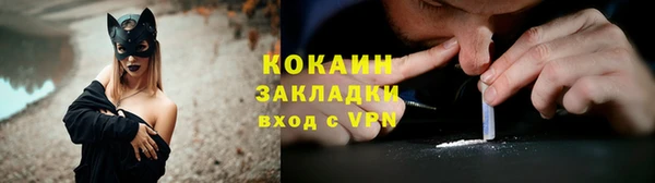 2c-b Богородицк