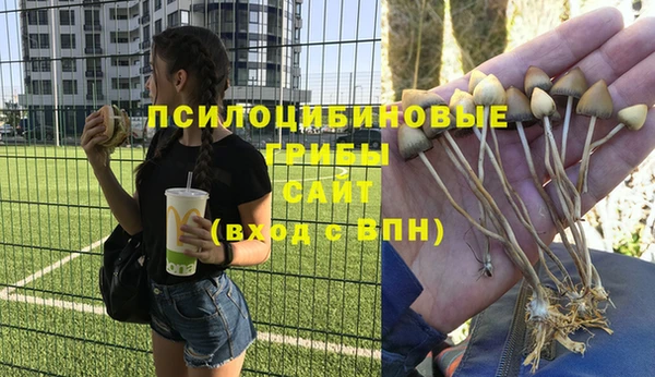 прущий лед Богородск