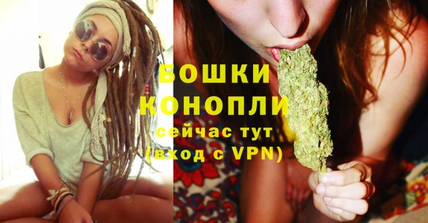2c-b Богородицк