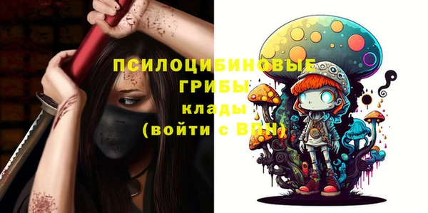 2c-b Богородицк