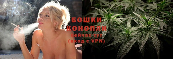 2c-b Богородицк