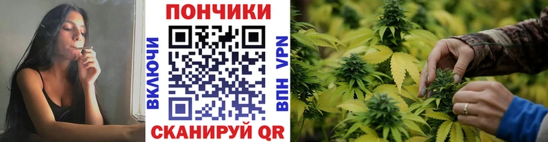 Каннабис ГИДРОПОН  наркошоп  Северск 